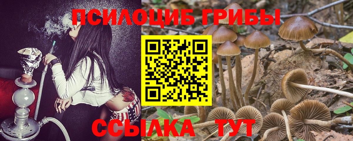 NBOMe  Вход с VPN  Балашов  ГАШИШ  A PVP СОЛЬ   Меф  