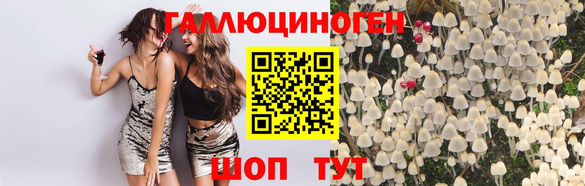 Балашов  закладка  Вход с VPN  Галлюциногенные грибы ЛСД 