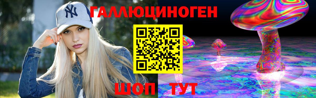 Псилоцибиновые грибы Psilocybe Балашов